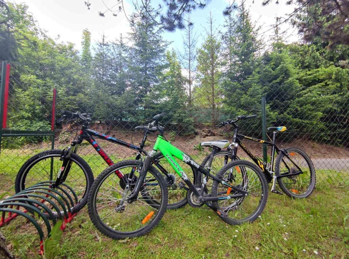 Penzion Roal Pieniny Hotel Spisska Stara Ves Exterior photo